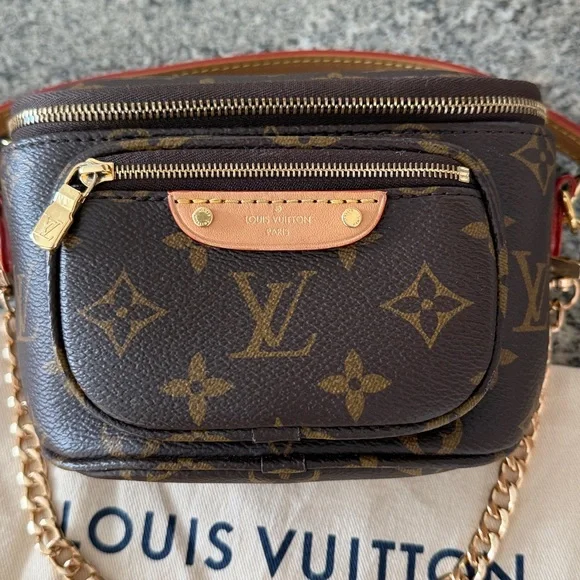 Louis Vuitton Mini Bum Bag - Picture 3 of 16